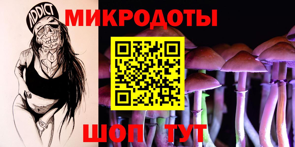 Псилоцибиновые грибы GOLDEN TEACHER  Вход с VPN  Димитровград  Псилоцибиновые грибы мухоморы 