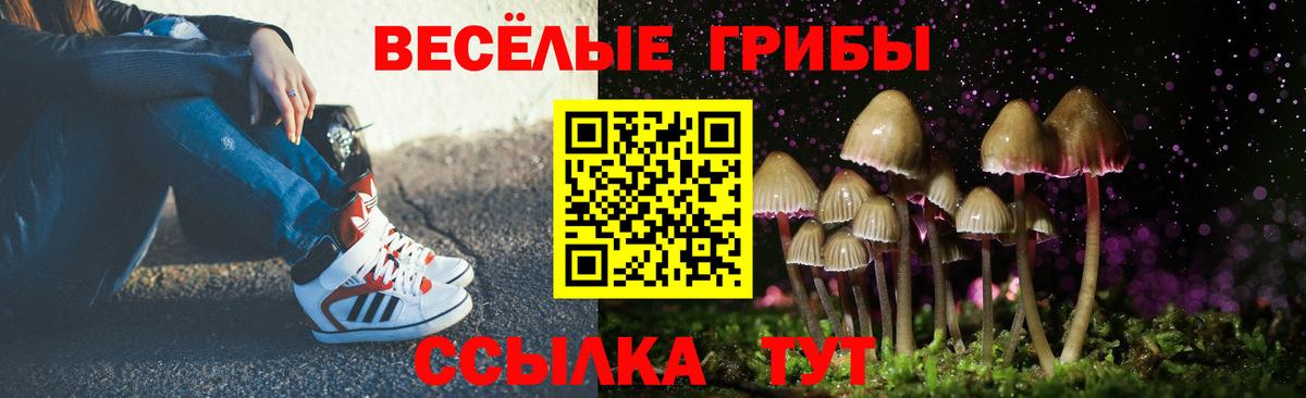 Галлюциногенные грибы Magic Shrooms Димитровград